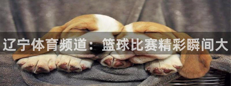 jrkan直播app：辽宁体育频道：篮球比赛精彩瞬间大