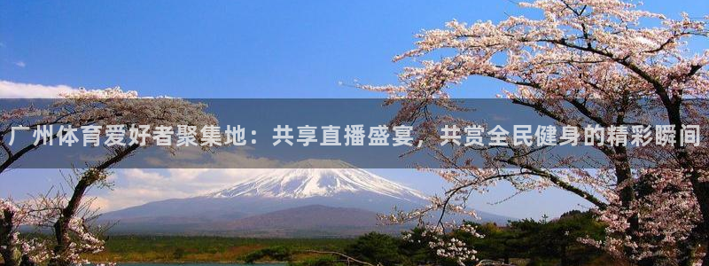 jrkan直播体育：广州体育爱好者聚集地：共享直播盛宴，共赏全民健身的精彩瞬间