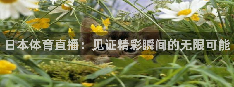 jrkankan体育直播：日本体育直播：见证精彩瞬间的无限可能
