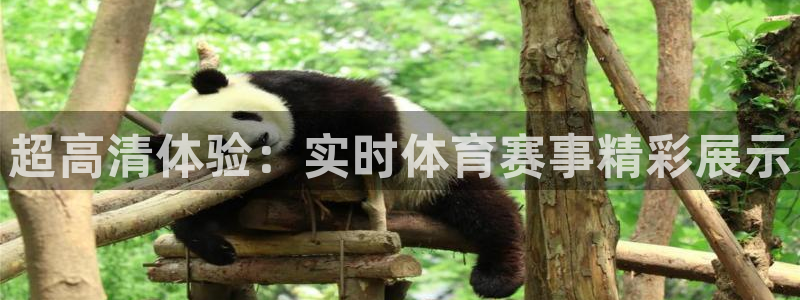 jrkan nba直播：超高清体验：实时体育赛事精彩展示