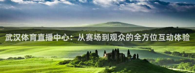 jrkan篮球直播：武汉体育直播中心：从赛场到观众的全方位互动体验