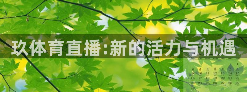 jr看球直播：玖体育直播:新的活力与机遇
