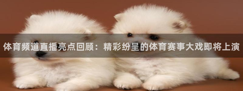 jrkan直播nba在线直播：体育频道直播亮点回顾：精彩纷呈的体育赛事大戏即将上演